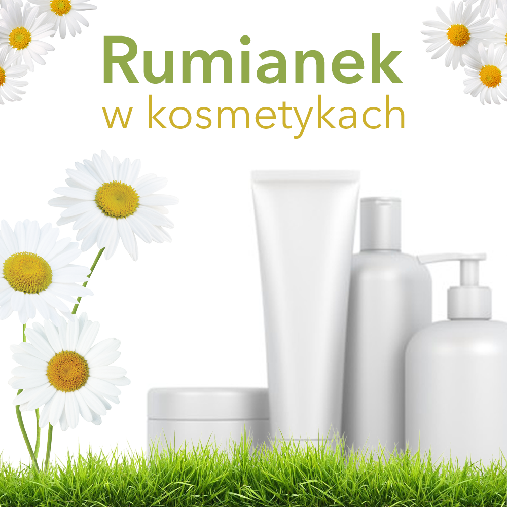 Rumianek w kosmetyce