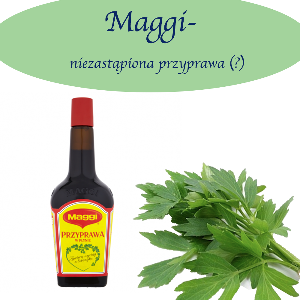 Maggi- czy warto jej używać?