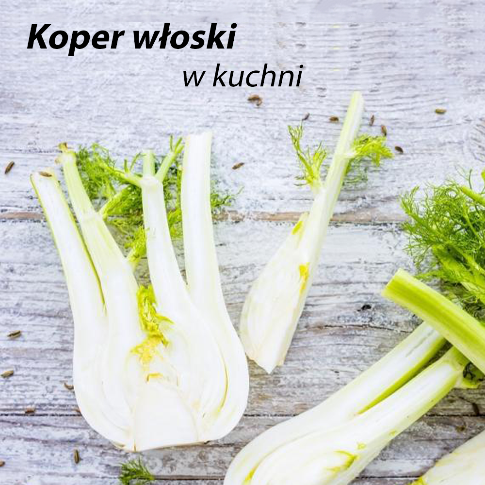 Koper włoski zastosowanie w kuchni