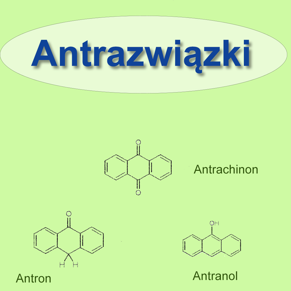 Antrazwiązki -podział, znaczenie i funkcje