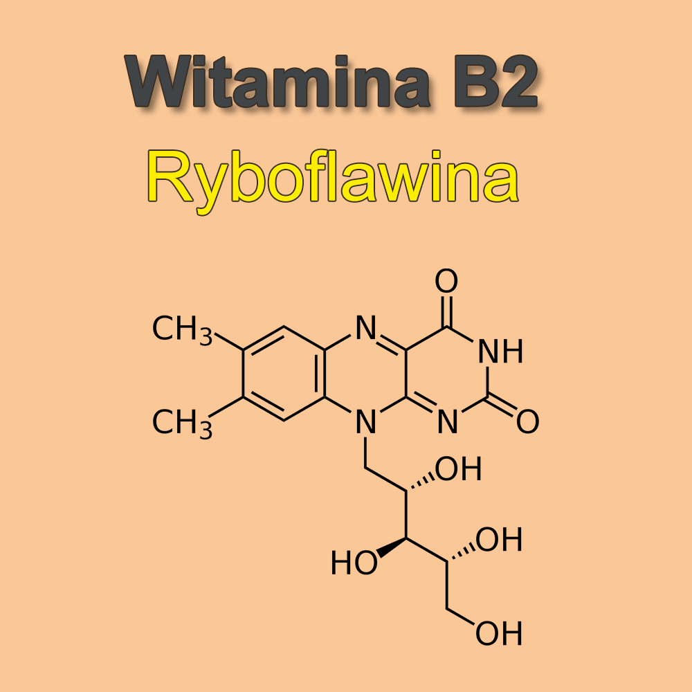 Witamina B2- znaczenie i rola