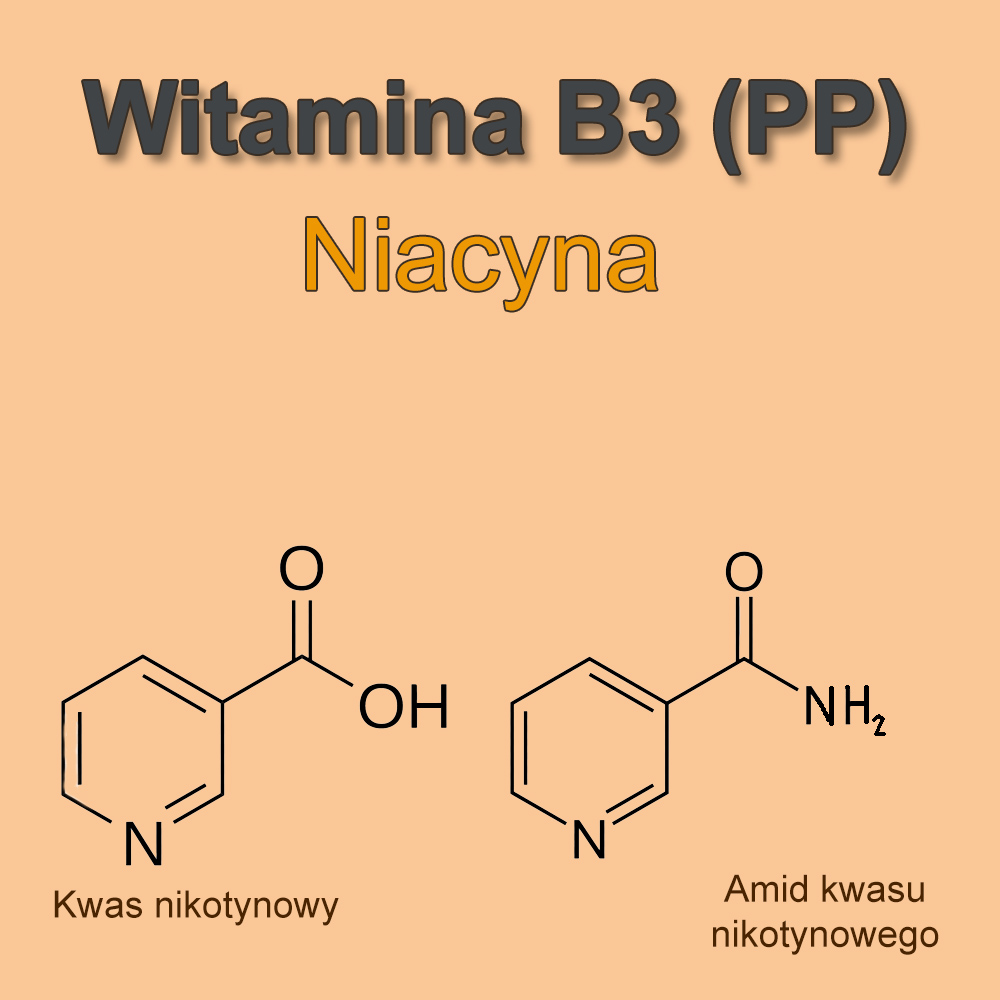 witamina B3 czyli niacyna i jej rola