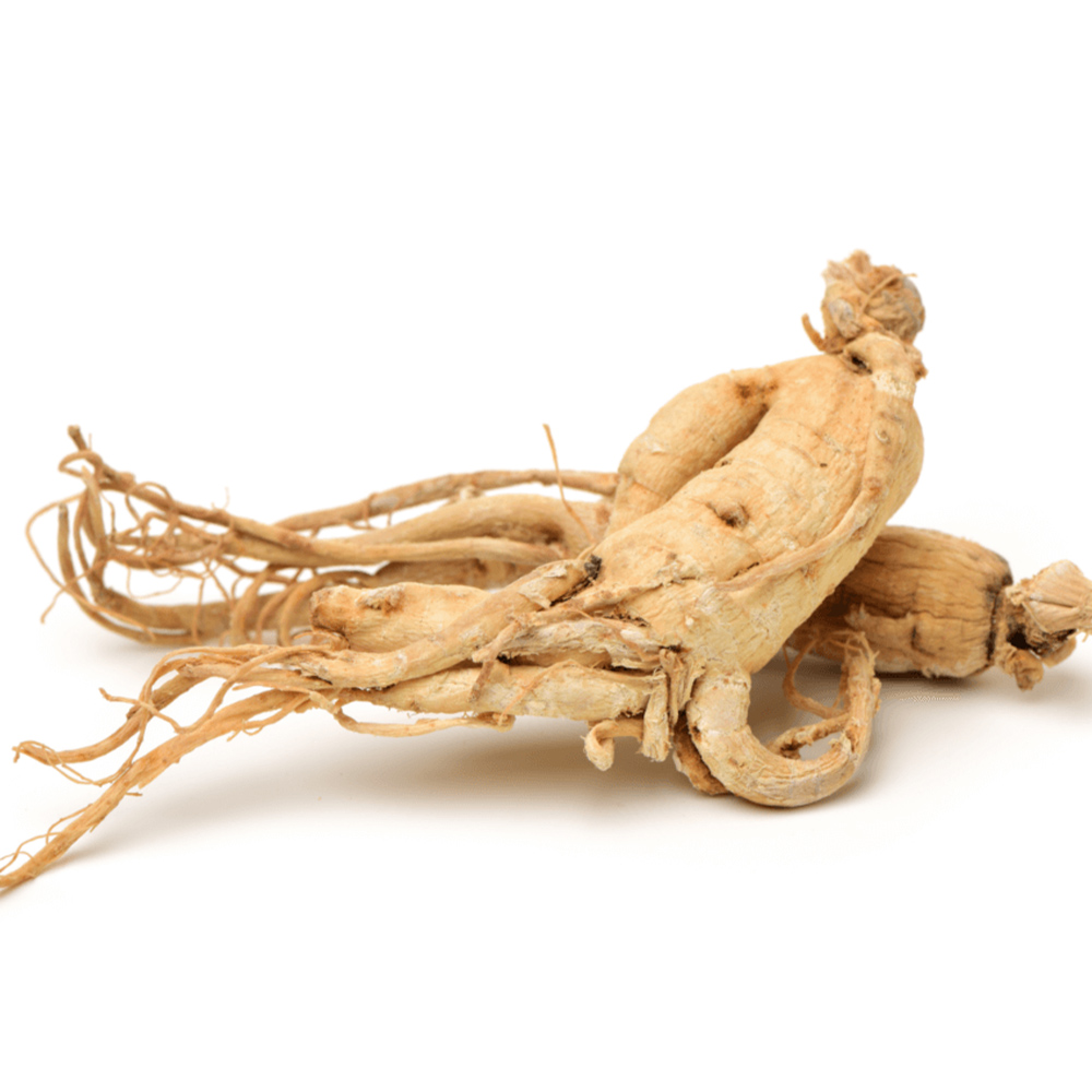 Żeń-szeń – łac. Ginseng panax- właściwości