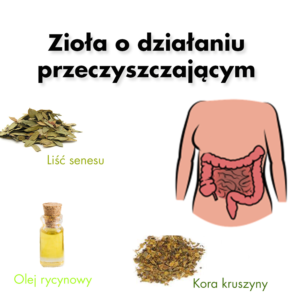 Zioła na zaparcia