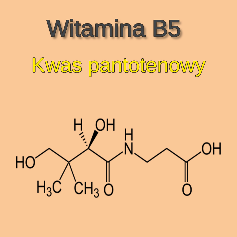 Witamina B5 wpływ na zdrowie