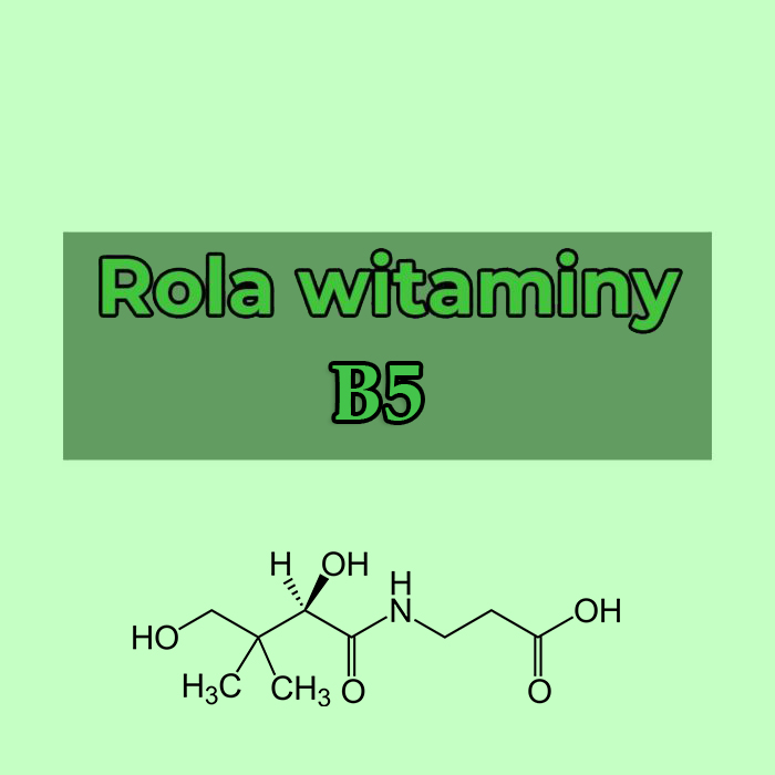 Wpływ witaminy B5 na organizm