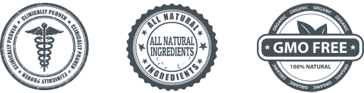 Certyfikat Autentyczności Moring Slim